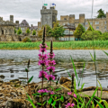 Ashford Castle